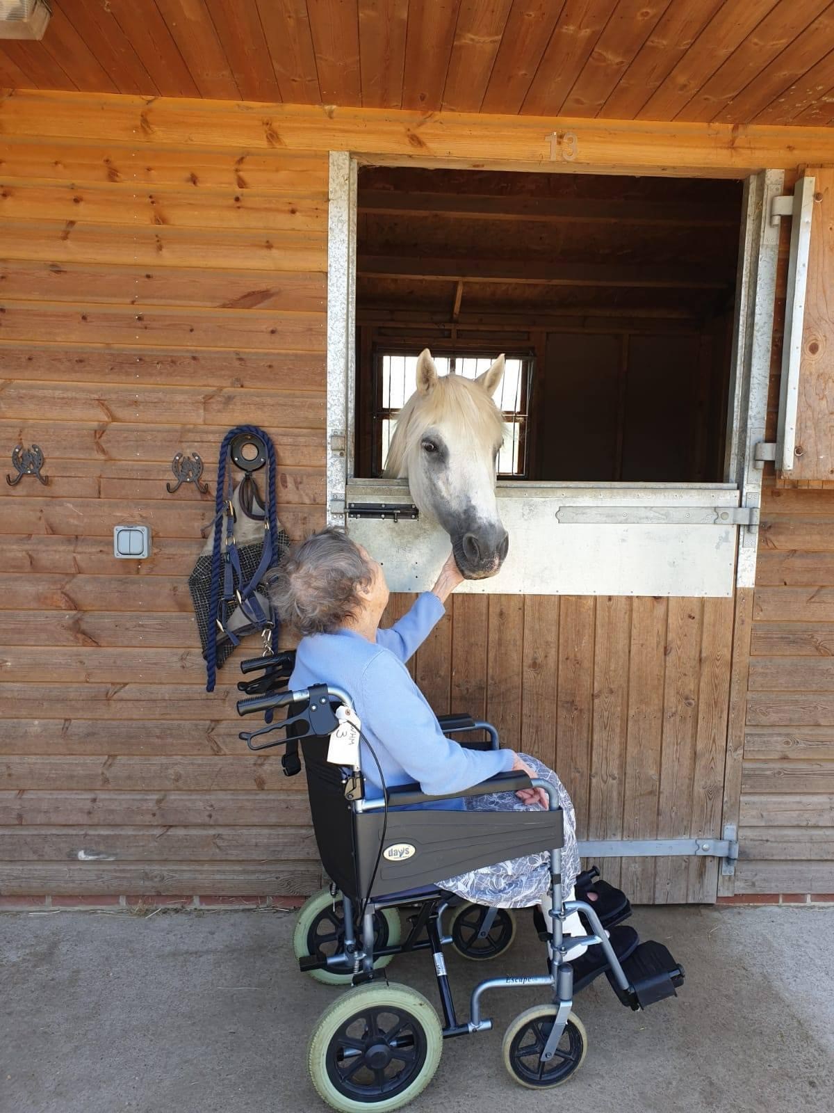 Epson Riding Stables